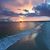 Kristin Phillips's profile image