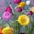 Linda Bargainnier McLendon's profile image