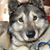 Alyce Clark Embree's profile image