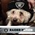 David Laidler's profile image