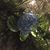 Bonnie Ludlow Causey's profile image