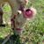 Melinda Marie Cerkoney's profile image