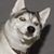 Casey Crane's profile image