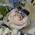 Tabbie Hiatt's profile image