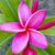 Donna DeMaria-Cameron's profile image
