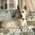 Lisa Saxton Hembree's profile image