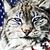 Mary Pugh's profile image