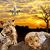 Carole Thomas-Liddell's profile image