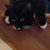 MaryLynn Therese's profile image
