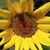 Thursa Royce Paschall's profile image