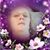Debbie Price Dowell's profile image