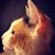 Amy Combs's profile image