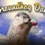 Deb Bugner's profile image