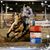 Laci Southerland's profile image