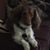 Larry Astle's profile image