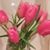 Mitzi Trevino Sands's profile image