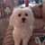 Cymbre Rust Lee's profile image