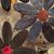 Karen K Stone's profile image