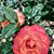 Terry McHale Greenhaw's profile image