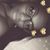 Chanel Williams's profile image