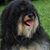 Cathy Rosebrock's profile image