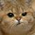 Lois M. Lloyd's profile image