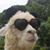 William Smythe's profile image