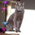 James Powell's profile image