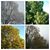 Paula Welton's profile image
