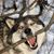 Mike Ernest Palaca's profile image