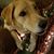 Julie Iversen McClelland's profile image