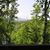 Cindy Sipple Scott's profile image