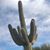 Amber Genett Smits's profile image