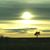 Lisa M Tozier-Rowe's profile image