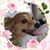JoAnn Moser's profile image
