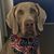 Deb Chabotte's profile image