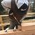 Nicholas Vezina's profile image