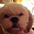 Sara Stone's profile image