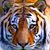 Lynda Wilson's profile image
