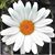 Lisa Bovat's profile image