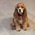 Sophie Bernice's profile image