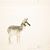 Donna Ridgway's profile image
