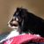 Karen O'Brien's profile image