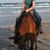 Sue Troyan Puckett's profile image