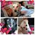 Debi Cavanaugh's profile image