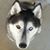 Molly Westersund's profile image