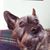 Bill Croteau's profile image