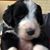 Marilyn Morton Wilson's profile image