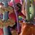 Catherine Ketelaar McElhany's profile image