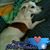 Barbara Herriven's profile image